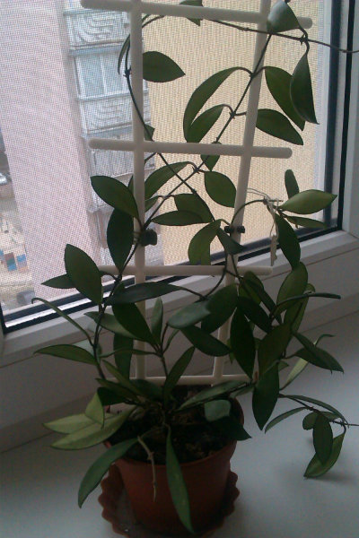 IMAG0580.jpg