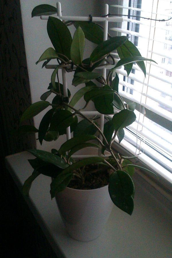 IMAG0581.jpg