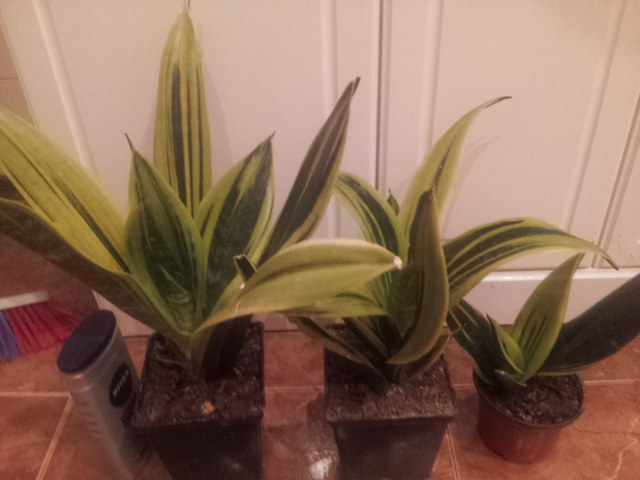 20131207_073400.jpg