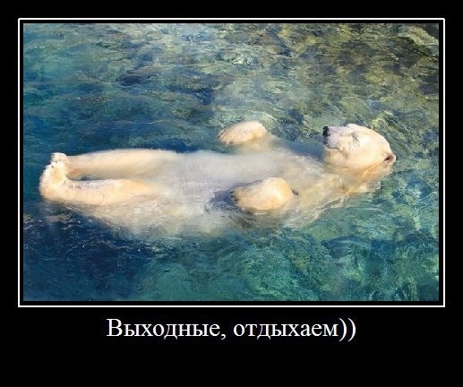 выходные.jpg
