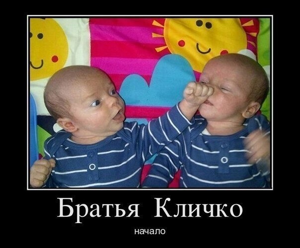 братья.jpg