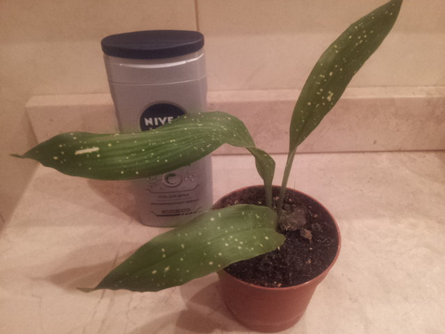 20131207_223731.jpg