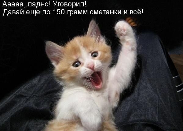 ладно.jpg