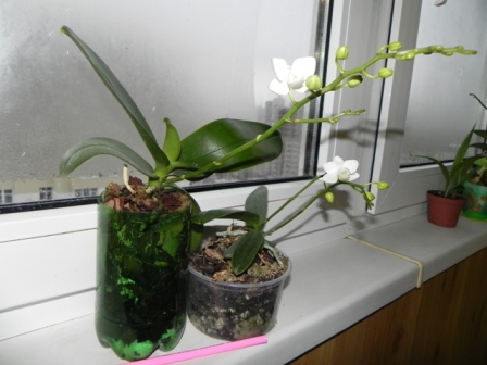DSCN5998.JPG