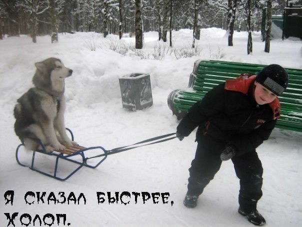 быстрее.jpg