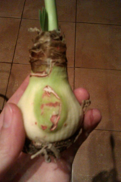 IMAG0616.jpg