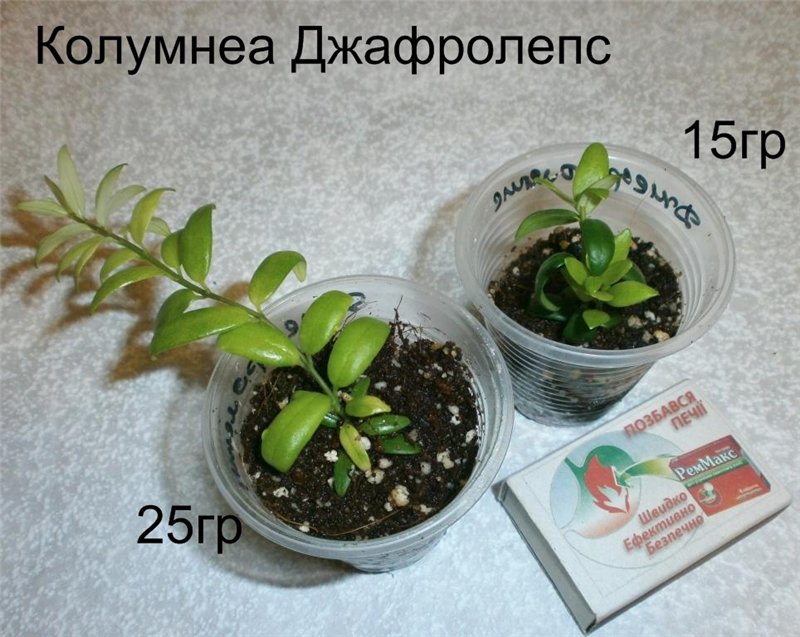 143ce5558727[1].jpg