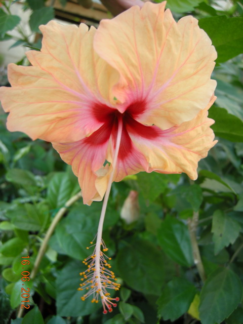 DSCN8956.JPG