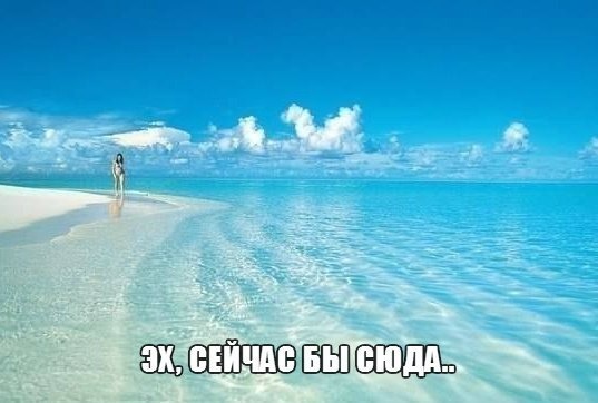 лето.jpg