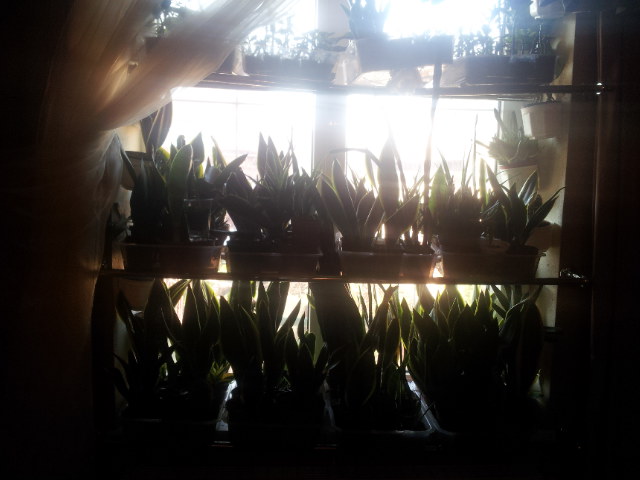 20131225_115323.jpg