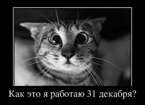 31 декабря.jpg