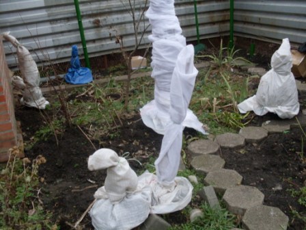 SDC12875.JPG