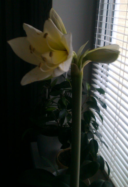IMAG0629.jpg