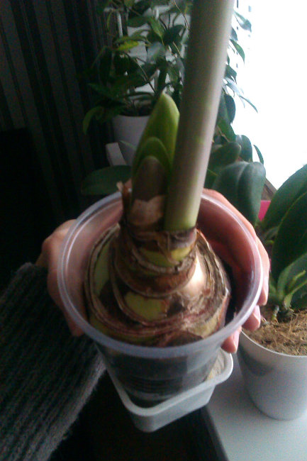 IMAG0628.jpg