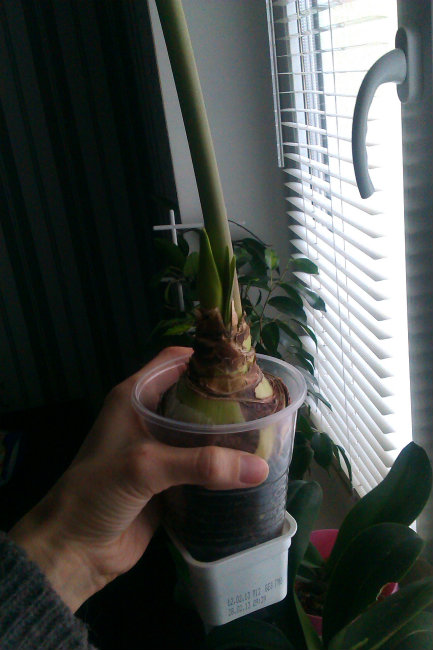 IMAG0626.jpg