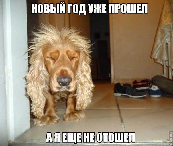 нг.jpg