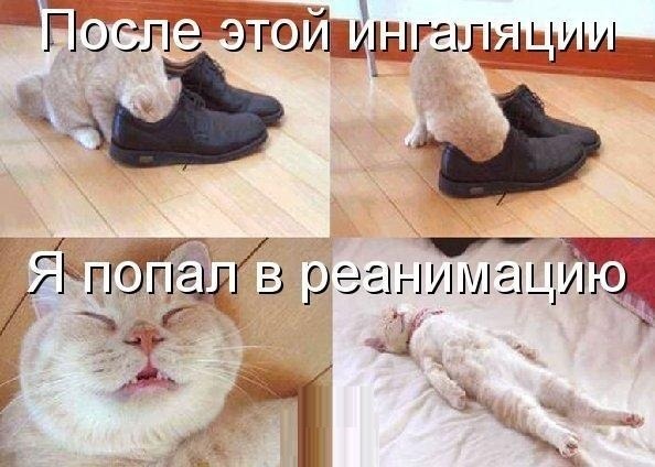 ингаляция.jpg