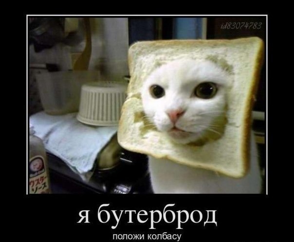 положи колбасу.jpg