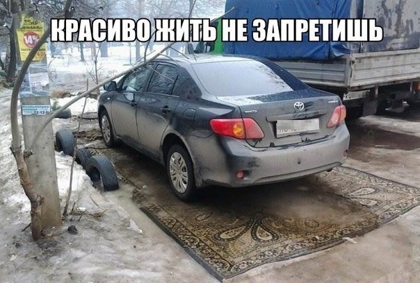 красиво жить.jpg