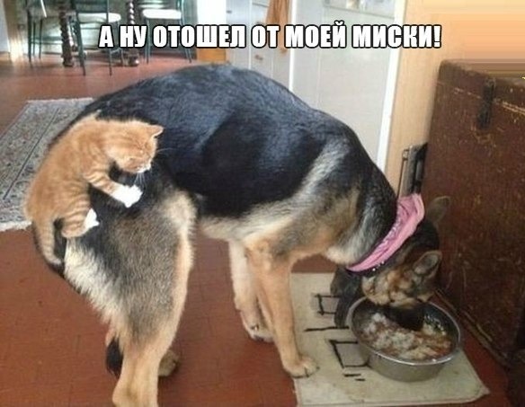 уйди.jpg