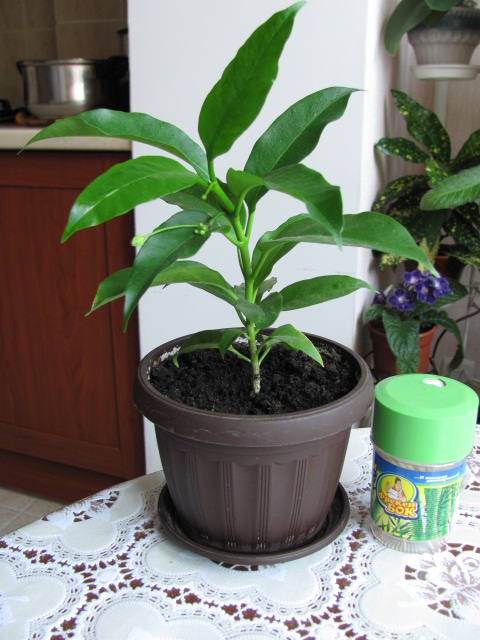 разное 048.jpg