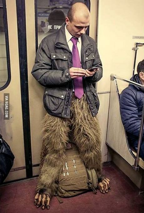 утром.jpg