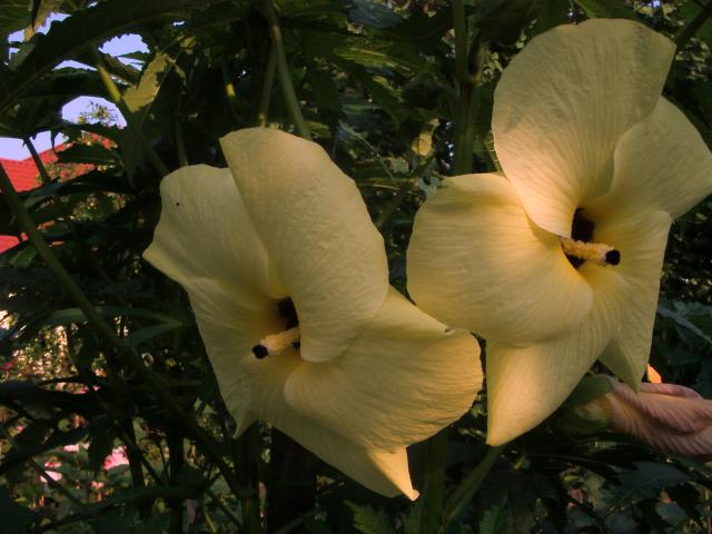 S73F5014.jpg