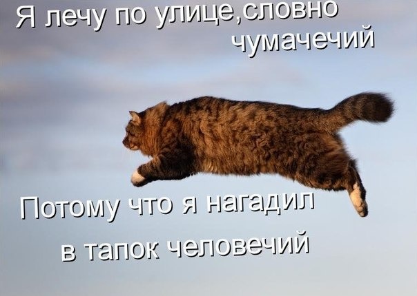 летим.jpg