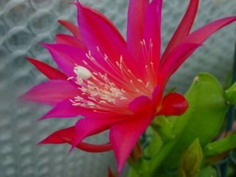 7b239c49395d (1).jpg