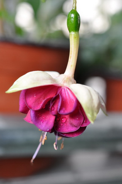 июль 2013 209.jpg