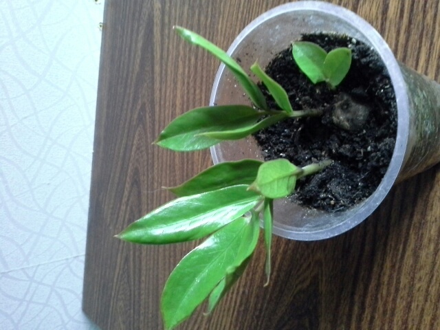 20140208_115020.jpg