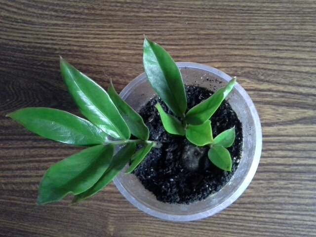 20140208_114957.jpg