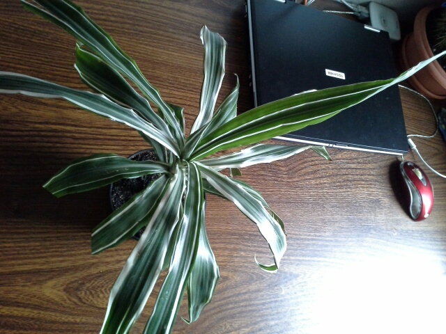 20140208_120657.jpg