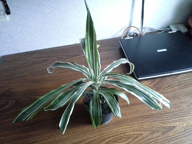 20140208_120628.jpg