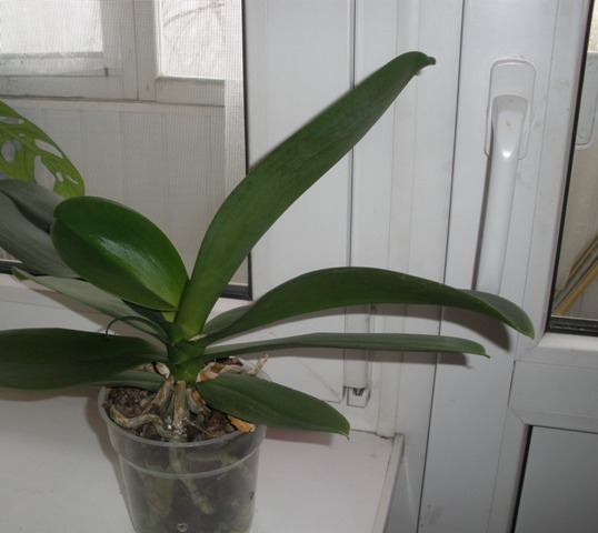 P2072660.JPG
