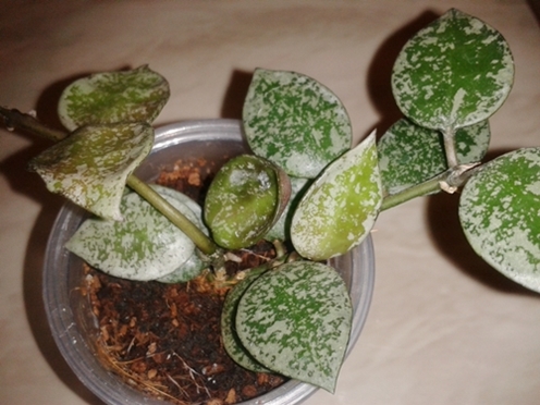 2014-02-09 21.49.34.jpg