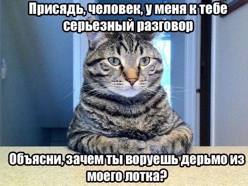 вор.jpg