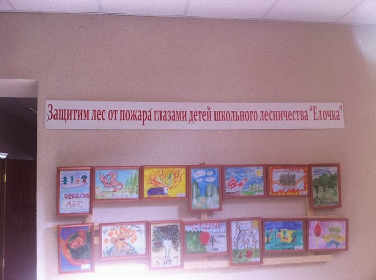 лес.jpg