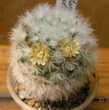 DSCN8856.JPG