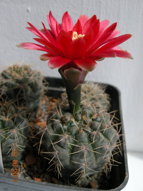 DSCN8895.JPG