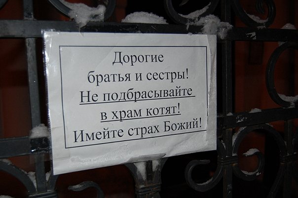 не подбрасывайте.jpg