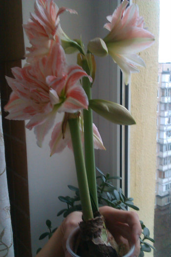 IMAG0670.jpg