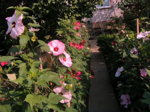 S73F4869.jpg