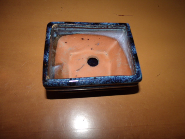 GEDC4811.JPG