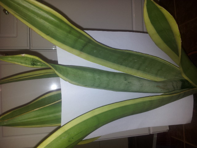 20140224_170856.jpg