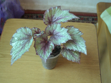 DSC01286б.jpg