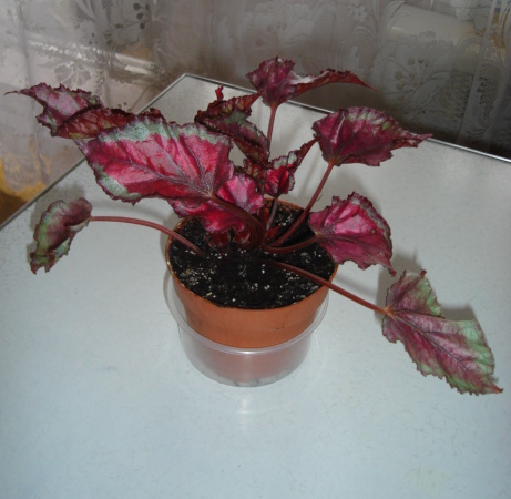 DSC01349.JPG