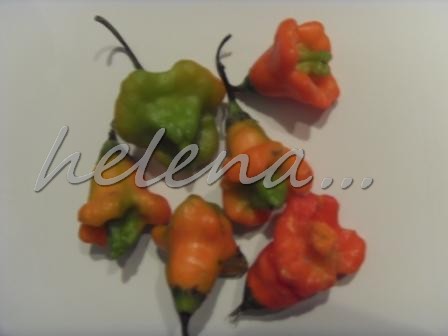 Перец.jpg