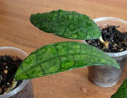 2014-03-08_215126.png