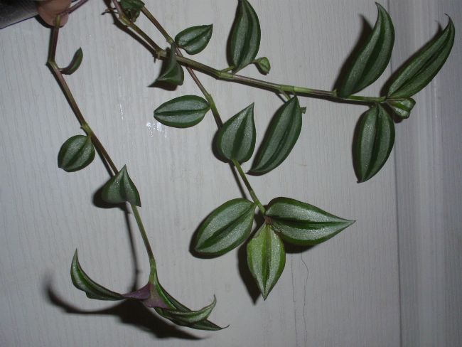 PA210429.JPG